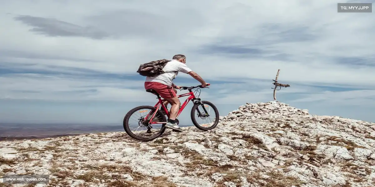 赏金女王官网——🥊拳力以赴!释放压力,格斗课程点燃你的斗志🔥
